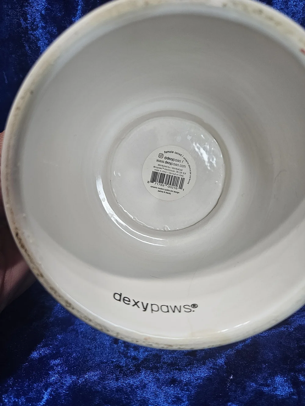 Dexypaws Black and White Polka Dot Elevated Ceramic Cat Dish